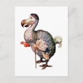 Carte Postale Le Dodo Bird (Devant)