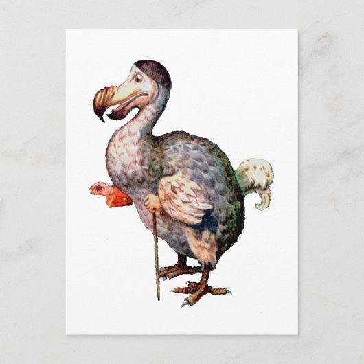 Carte Postale Le Dodo Bird (Devant)