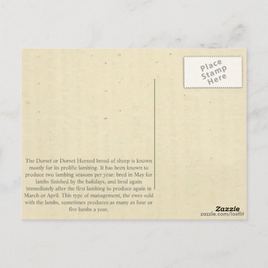 Carte Postale Le Dorset (Dos)