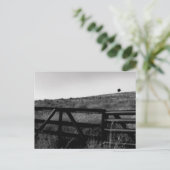 Carte Postale Le drame d'un arbre solitaire (Debout devant)