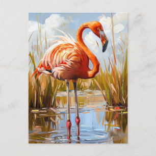Carte Postale Le Flamant rose sauvage