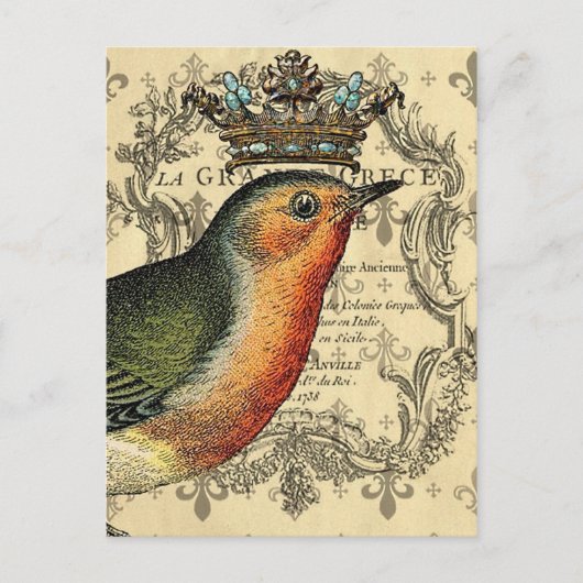 Carte Postale Le Fleur Oiseau Couronné (Devant)