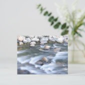 Carte Postale Le fleuve Truckee (Debout devant)