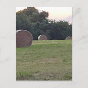 Carte Postale Le foin dans une prairie agricole