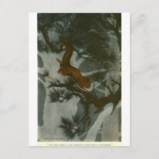 Carte Postale Le folklore des Bull des Bois