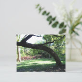 Carte Postale Le Fort Worth Garden Tree (Debout devant)