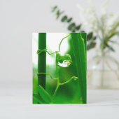 Carte Postale Le fou, le tarot dans la méditation de la nature (Debout devant)