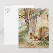 Carte Postale Le Fox et les raisins, illustration pour (Devant / Derrière)