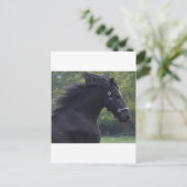 CARTE POSTALE LE FRISON LA PERLE NOIRE (Debout devant)