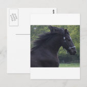 CARTE POSTALE LE FRISON LA PERLE NOIRE (Devant / Derrière)