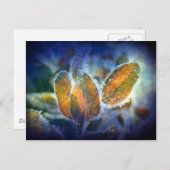 Carte Postale Le froid hivernal (Devant / Derrière)