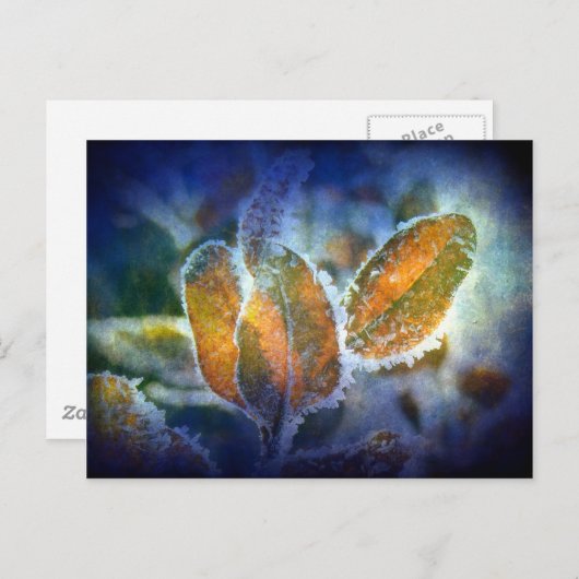 Carte Postale Le froid hivernal (Devant / Derrière)