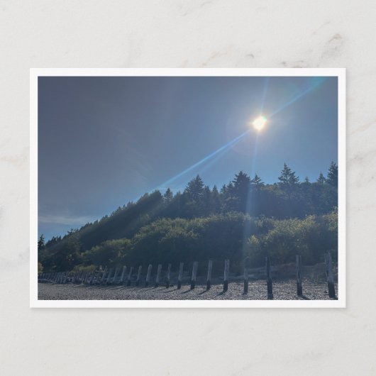 Carte Postale Le front de mer (Devant)