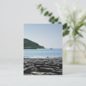 Carte Postale Le front de mer de Torquay (Debout devant)