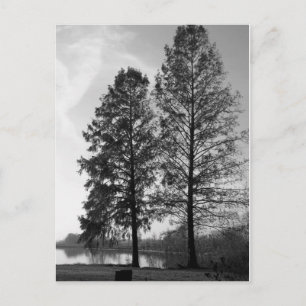 Carte Postale Le front de mer du Maryland de Vienne