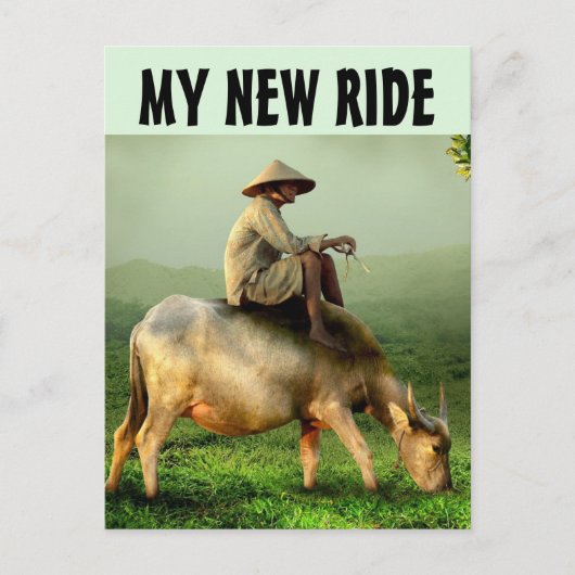 CARTE POSTALE LE GAZ EST SI CHER FUNNY MAN RIDING VW POSTCARD (Devant)