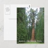 Carte Postale Le Général Sherman (Devant / Derrière)