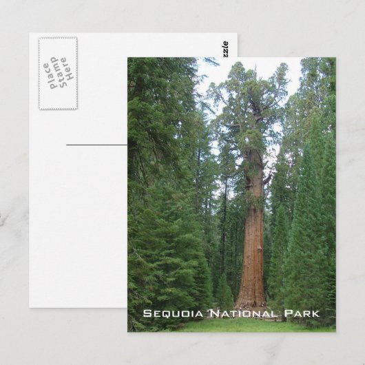 Carte Postale Le Général Sherman (Devant / Derrière)