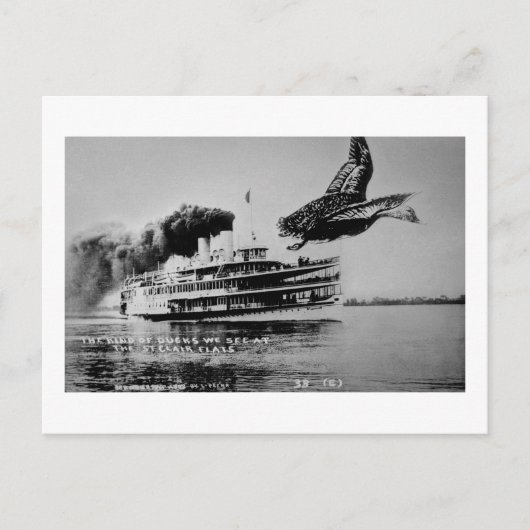 Carte Postale Le genre de canards que nous voyons (Devant)