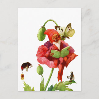 Carte Postale Le Gnome du coquelicot