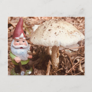 Carte Postale Le Gnome forestier