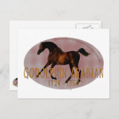 Carte Postale Le Godolphin Arabian (Devant / Derrière)