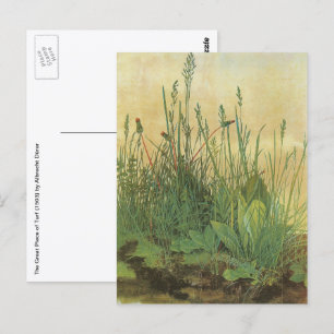 Carte Postale Le Grand Morceau de Gazon par Albrecht Durer
