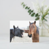 Carte Postale Le Horse Pesterer (Debout devant)