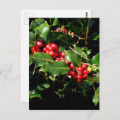 Carte Postale Le houx et le lierre (Devant / Derrière)