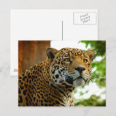 Carte Postale Le Jaguar (Devant / Derrière)
