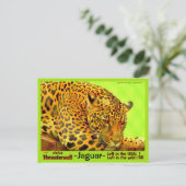 Carte Postale Le Jaguar est un animal en danger. (Debout devant)