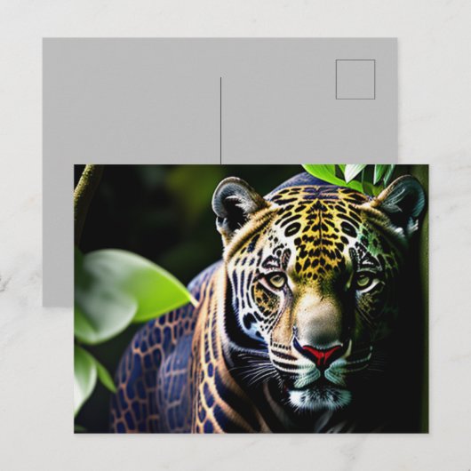 Carte Postale Le Jaguar - Prédateur de la jungle de feu (Devant / Derrière)