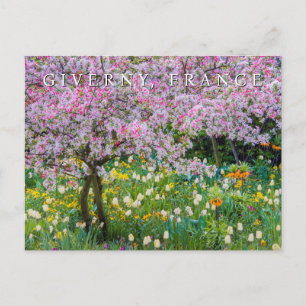 Carte Postale Le jardin de Claude Monet Joyeux Anniversaire