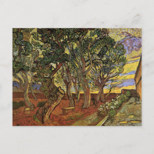 Carte Postale Le Jardin de l'hôpital Saint-Paul par Vincent van 
