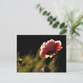 Carte Postale Le jardin du voisin (Debout devant)