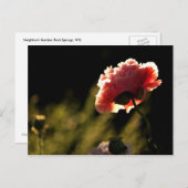 Carte Postale Le jardin du voisin (Devant / Derrière)