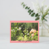 Carte Postale Le jardin rose (Debout devant)
