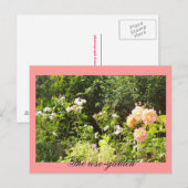 Carte Postale Le jardin rose (Devant / Derrière)