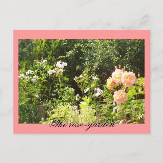 Carte Postale Le jardin rose (Devant)