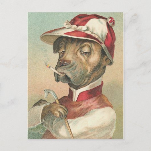 Carte Postale "Le Jockey Fumeur" Chien Vintage (Devant)