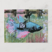 Carte Postale Le Jockey Poisson Betta (Devant)