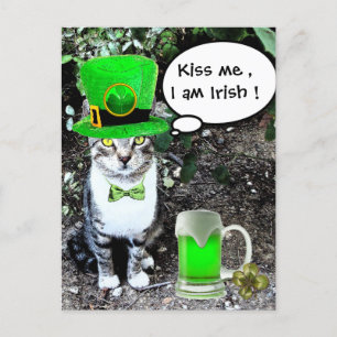 CARTE POSTALE LE JOUR DE SAINT PATRICK CAT WITH GREEN IRISH