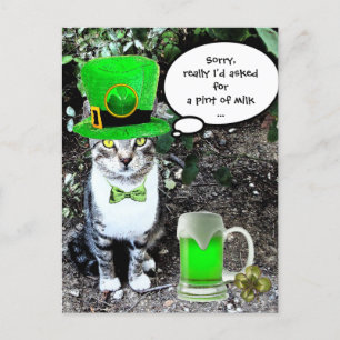 CARTE POSTALE LE JOUR DE SAINT PATRICK CAT WITH GREEN IRISH