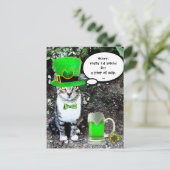 CARTE POSTALE LE JOUR DE SAINT PATRICK CAT WITH GREEN IRISH (Debout devant)