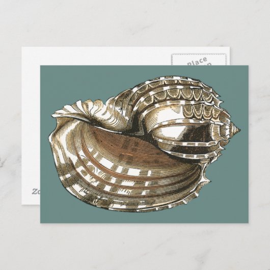 Carte Postale Le joyau de l'océan (Devant / Derrière)