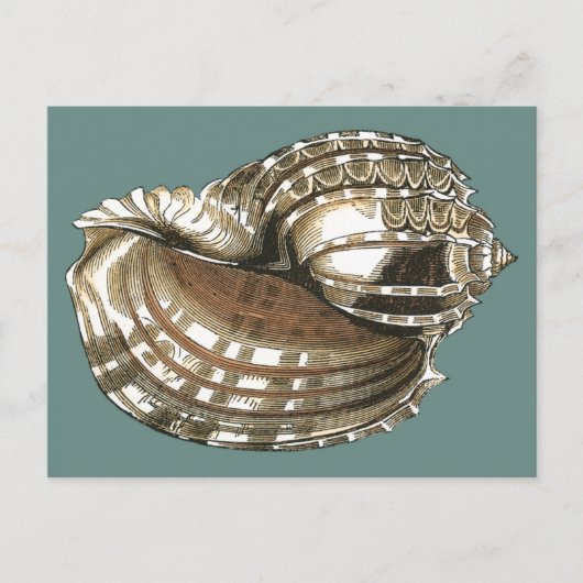 Carte Postale Le joyau de l'océan (Devant)