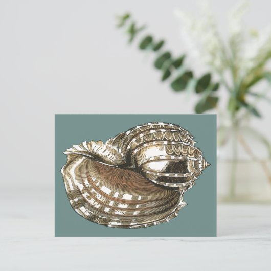 Carte Postale Le joyau de l'océan (Debout devant)