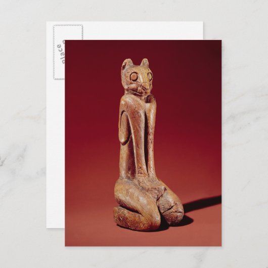 Carte Postale Le Key Marco Cat, de Floride (Devant / Derrière)