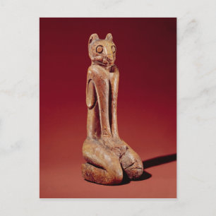 Carte Postale Le Key Marco Cat, de Floride