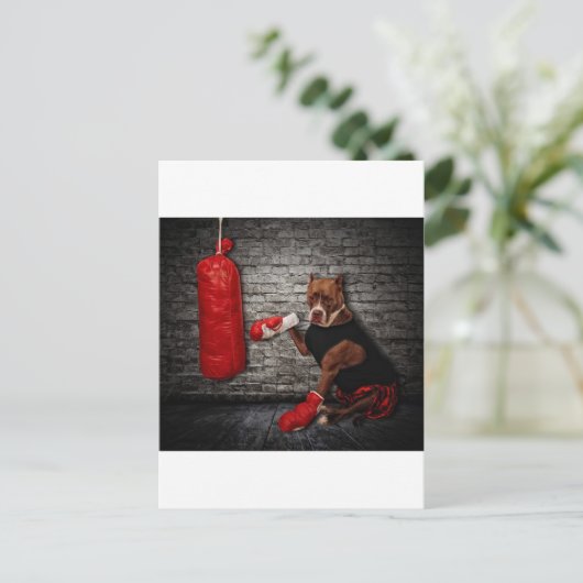 Carte Postale Le kit de boxe (Debout devant)